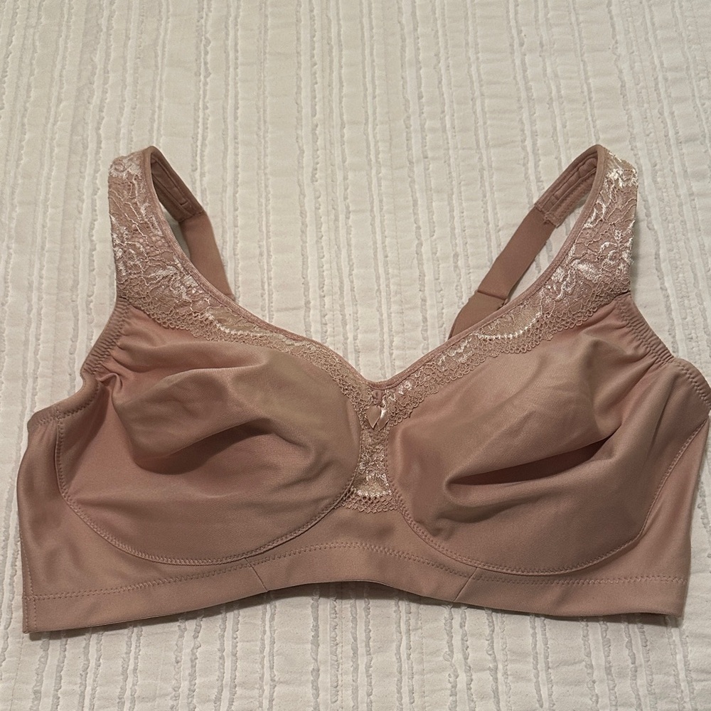 Elegant Lace Trimmed Bra in Blush